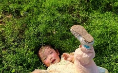 羞羞漫画入口页面弹窗秋蝉破解